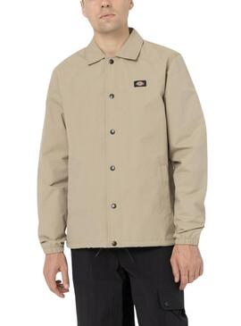 Veste Dickies Oakport Coach beige Pour Homme