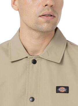 Veste Dickies Oakport Coach beige Pour Homme