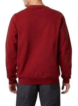 Pull à capuche Helly Hansen Arctic rouge pour homme