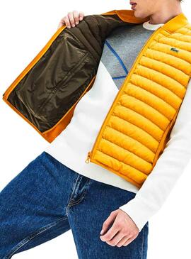 Gilet Lacoste Rembourré Jaune à partir de Homme
