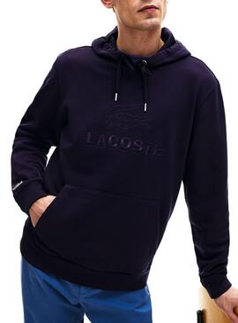 Sweat Lacoste à logo brodée Bleu Homme