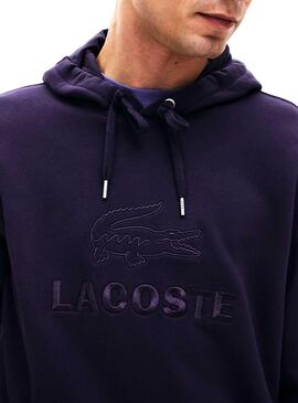 Sweat Lacoste à logo brodée Bleu Homme