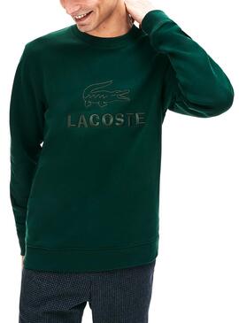 Sweat Lacoste Logo Brodé Vert Homme