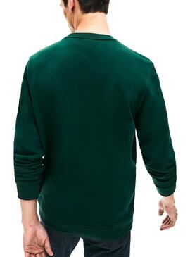 Sweat Lacoste Logo Brodé Vert Homme