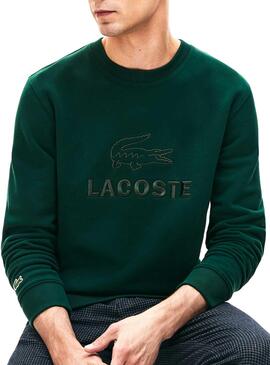 Sweat Lacoste Logo Brodé Vert Homme