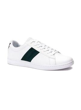 Baskets Lacoste Carnaby Evo Blanc Vert Homme