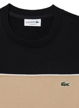 Sweatshirt Lacoste avec des blocs de couleur noire pour homme.