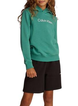 Sweat à capuche Calvin Klein Institutional Logo vert