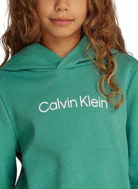 Sweat à capuche Calvin Klein Institutional Logo vert