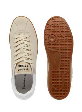 baskets Lacoste Baseshot en daim beige pour homme
