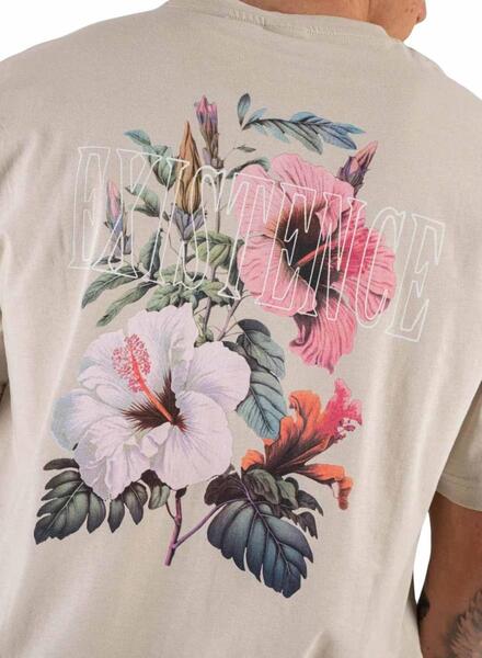 Gallery m165557 r0i8s8ll