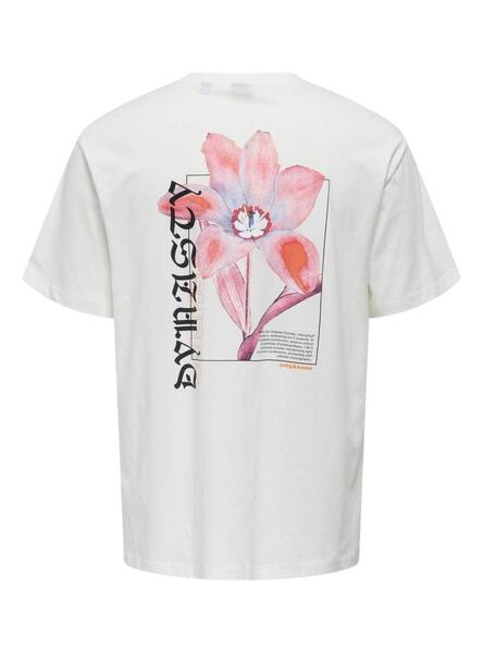 Gallery m165555 anuwbfzi