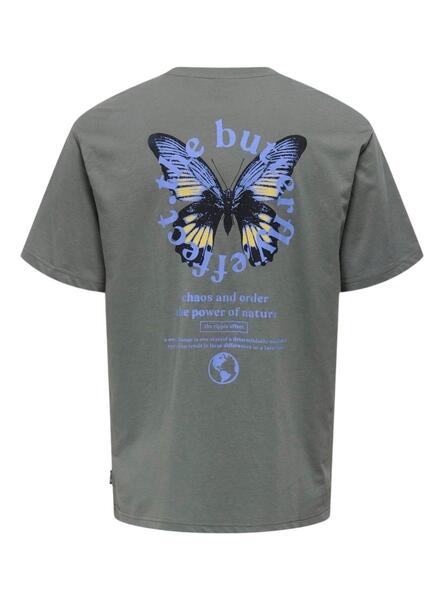 Gallery m165554 dytdf8un