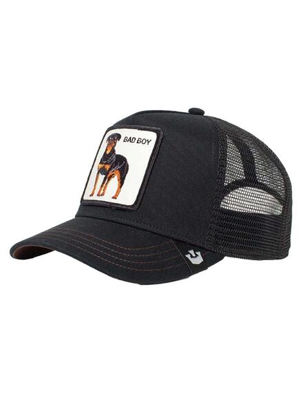 Gallery m165819 4rcau0av