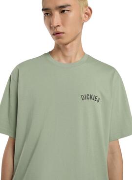 Maillot Dickies Snake vert pour homme