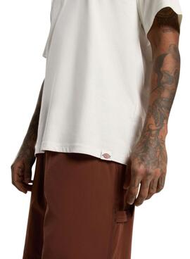 T-shirt Dickies Outdoor beige pour homme