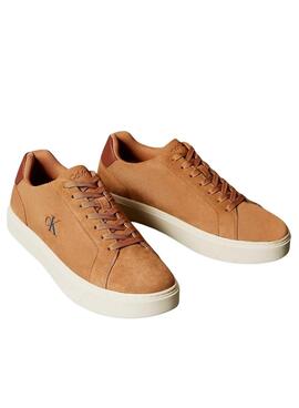 Sneakers Calvin Klein Jeans Classis Cupsole marron pour homme