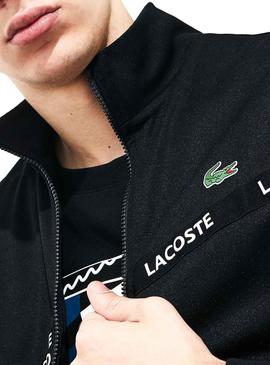 shorte lacoste