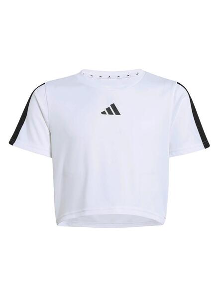 Gallery m169500 ttfx6wvr