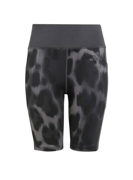 Gallery m169497 j8gi1g4q