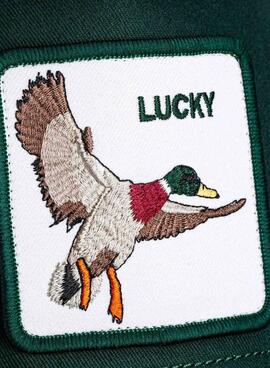 Casquette Goorin Bros Lucky Duck verte
