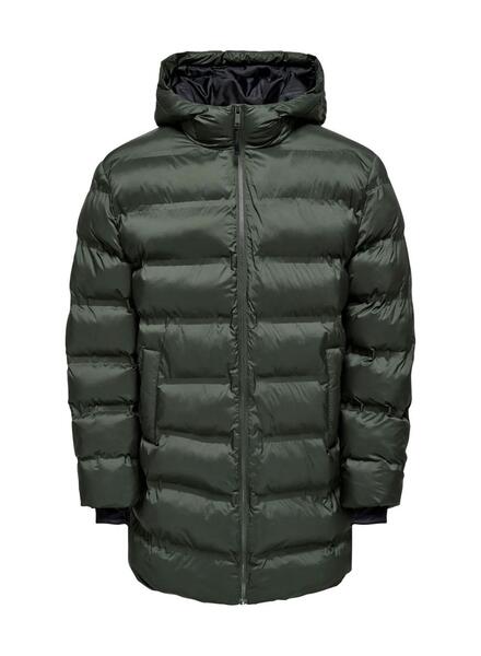 Gallery m174156 mbtrclup