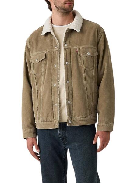 Gallery m175193 wnmabixq