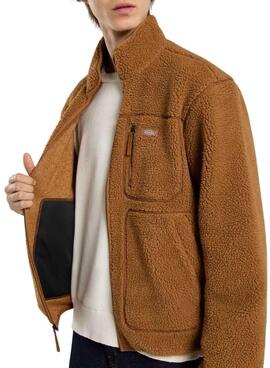 Polar Dickies Mount Hope camel pour homme