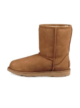 Bootss UGG Classics Short II Chestnut Alezan