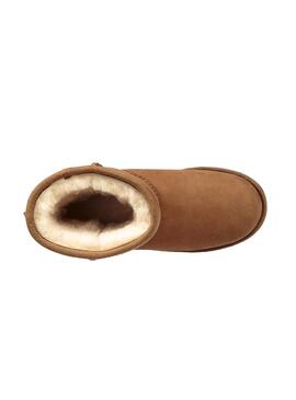 Bootss UGG Classics Short II Chestnut Alezan