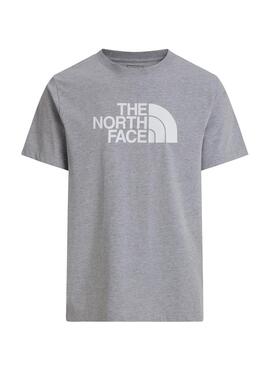 T-shirt The North Face Evo gris pour homme