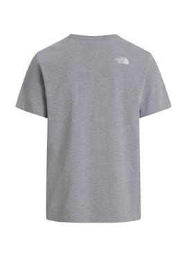 T-shirt The North Face Evo gris pour homme