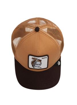 Casquette Goorin Bros Nuts marron et beige pour homme