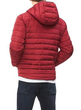 Veste Calvin Klein Padded Hooded Grenat Homme