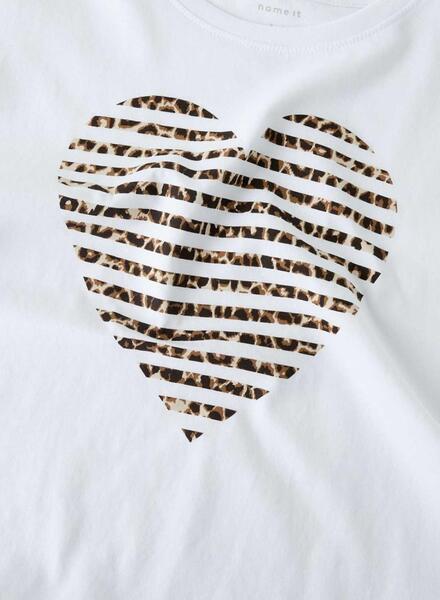 Gallery k179496 ptt3ntka