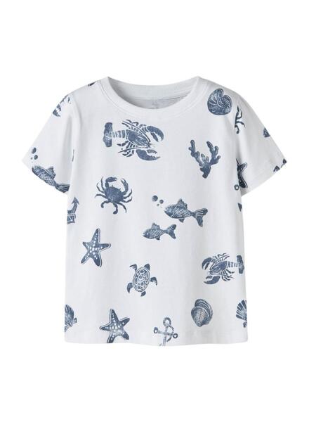 Gallery k179550 l1cqfedb