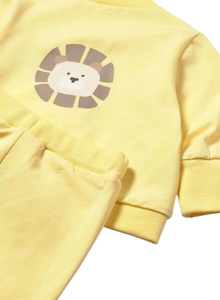 Gallery k179092 xckr8fyf