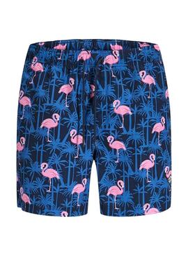 Thumb k179485 ctfsrxzv