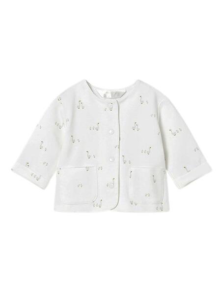 Gallery k179073 ehtoygta