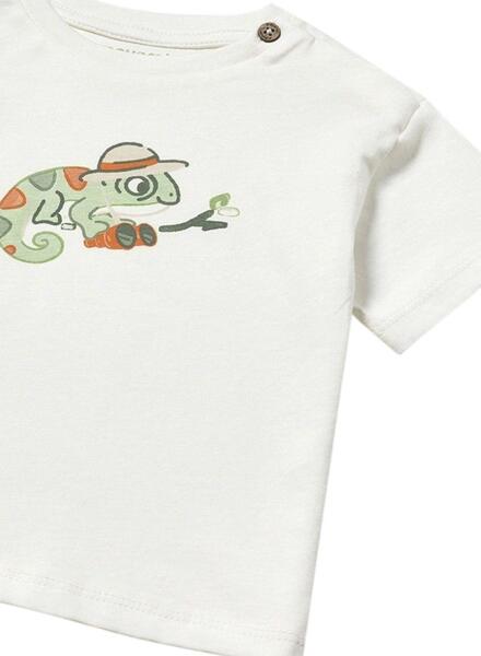 Gallery k178198 p8bxupzg