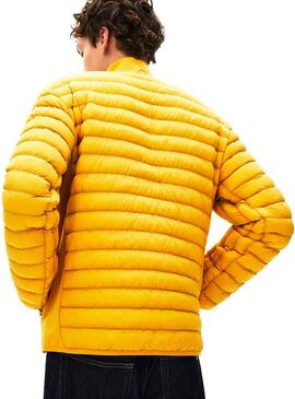 Veste Lacoste Doudoune Jaune Homme