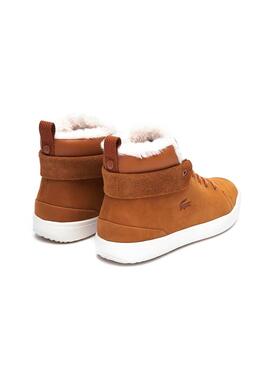 Bottines Lacoste Explorateur Camel Homme