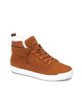 Bottines Lacoste Explorateur Camel Homme