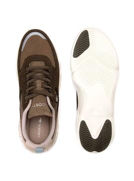 Baskets Lacoste Wildcard Brown Homme