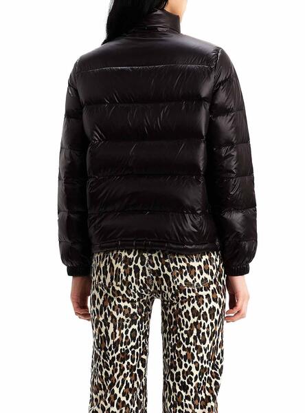 Francine levis outlet