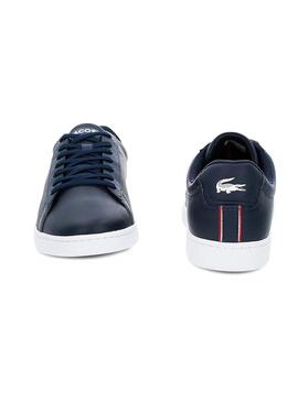 Baskets Lacoste Carnaby France Marin Homme
