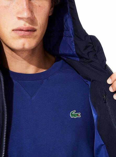 gilet lacoste bleu marine