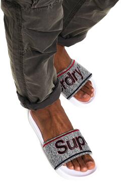 Tongs Superdry College Gris Homme