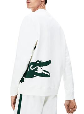 Sweat Lacoste Maxi Logo Blanc pour Homme