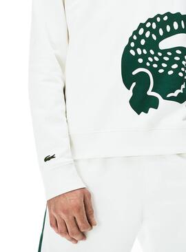 Sweat Lacoste Maxi Logo Blanc pour Homme